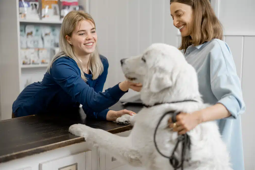 Veterinarian Greeting Large Dog at Reception Counter